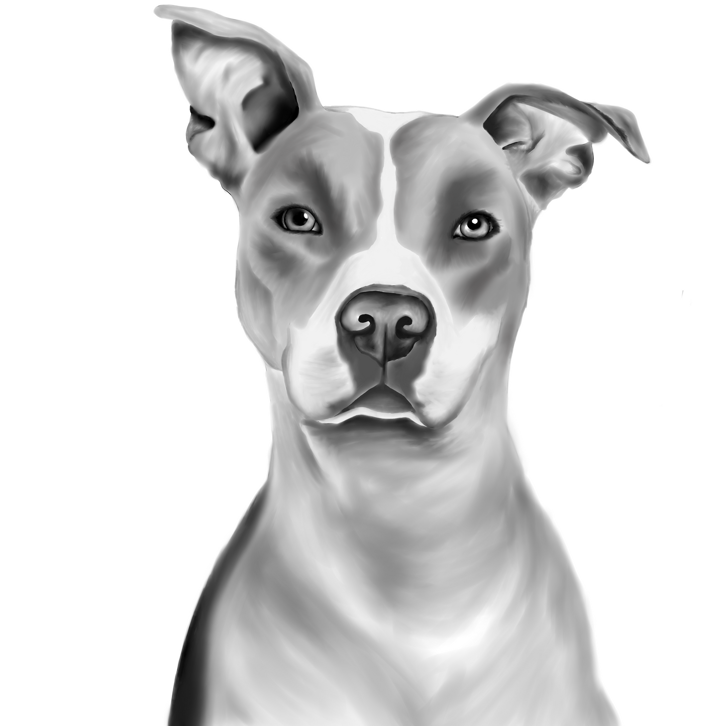 Minimalist Digital Pet Portrait from Photo + Optional Process Video