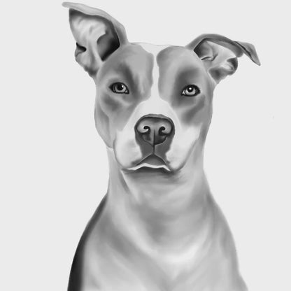 Minimalist Digital Pet Portrait from Photo + Optional Process Video